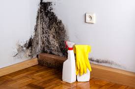 Best Environmental Consulting for Mold Prevention  in Savannah, GA